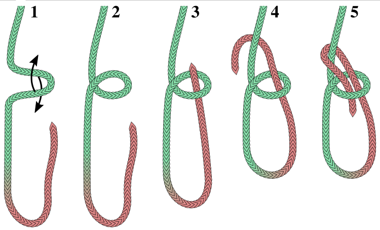 bowline tying - survival knots seniors should know