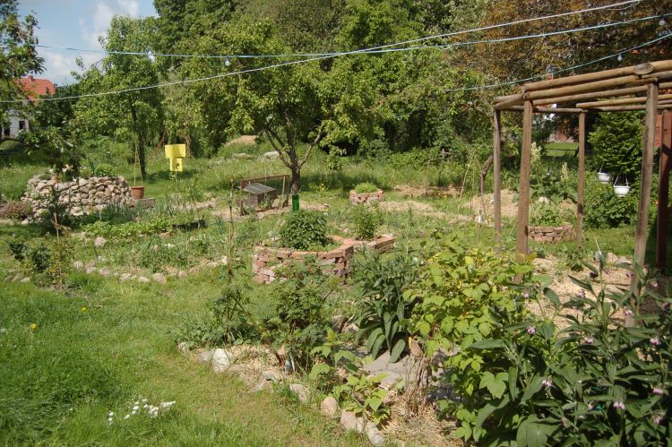 A garden cultivated on permaculture principles,By PermaKulturgut.de - Own work, CC BY-SA 3.0, https://commons.wikimedia.org/w/index.php?curid=18839412