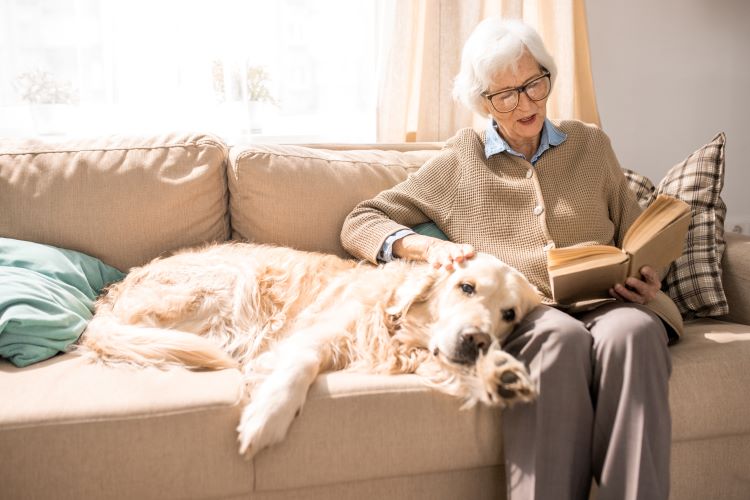 How to Care for Senior Pets During an EMP or CME Disaster