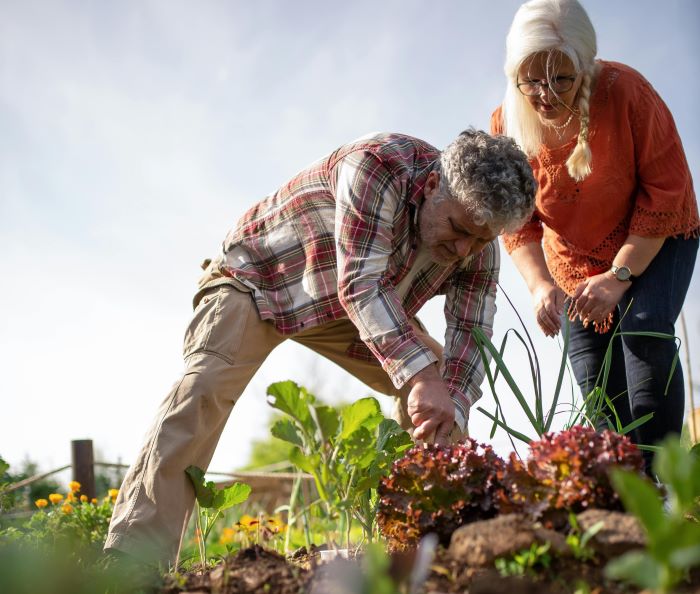 seniors working together in their survival garden