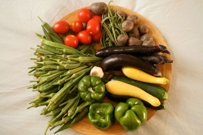 COMMUNITY SUPPORTED AGRICULTURAL GROUPS 15 Ways Seniors Can Benefit from Joining Community Supported Agricultural (CSA) Groups Community-supported agriculture. (2024, July 2). In Wikipedia. https://en.wikipedia.org/wiki/Community-supported_agriculture A single week's fruits and vegetables from community-supported agriculture share: peppers, okra, tomatoes, beans, potatoes, garlic, eggplant, squash.