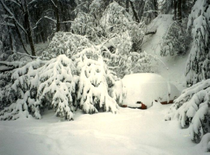 1993 Storm of the_Century_Asheville_North_Carolina