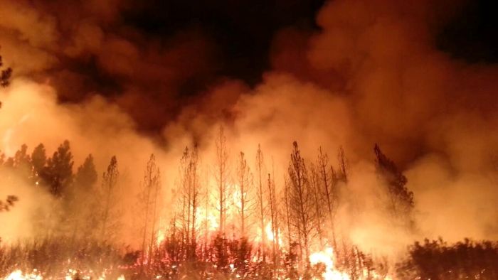 How to Plan for a Wildfire The_Rim_Fire_in_the_Stanislaus_National_Forest_near_in_California_began_on_Aug._17_2013-
