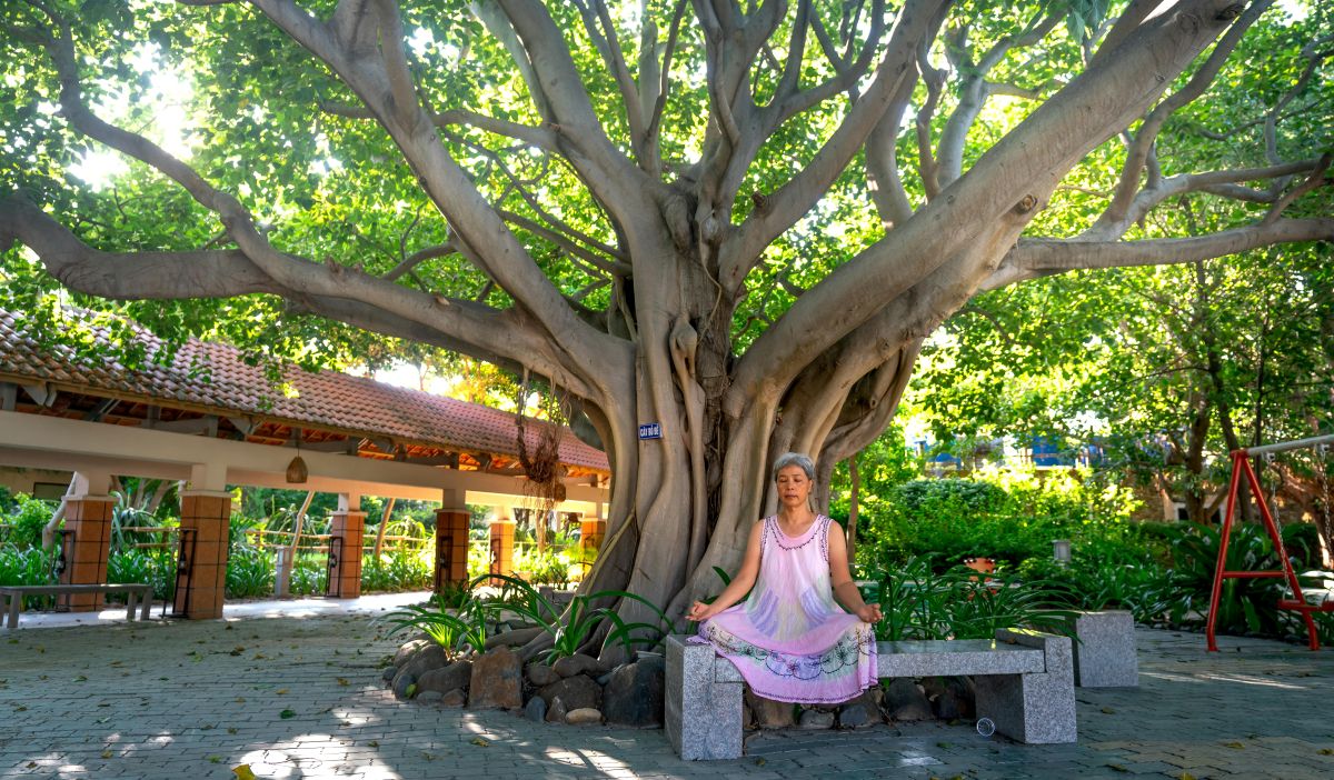 KEY ITEMS - Mental, Emotional, and Sleep Support: Section 5 Photo by Quang Nguyen Vinh: https://www.pexels.com/photo/an-elderly-woman-meditates-in-the-morning-14210305/