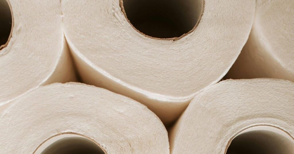 KEY ITEMS - Sanitation and Waste OversightsPhoto by Vlada Karpovich: https://www.pexels.com/photo/white-toilet-paper-rolls-3958212/
