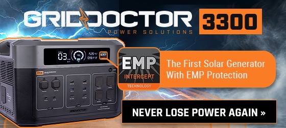 EVERFLOW GRID DOCTOR First-Solar-Generator-With-EMP