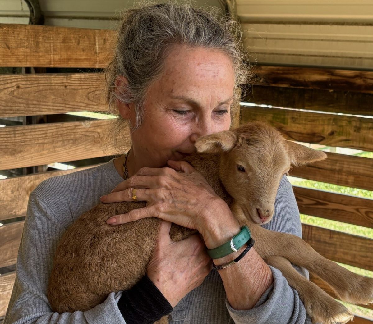 The Livestock and Self-Sufficiency Challenge: Month 9