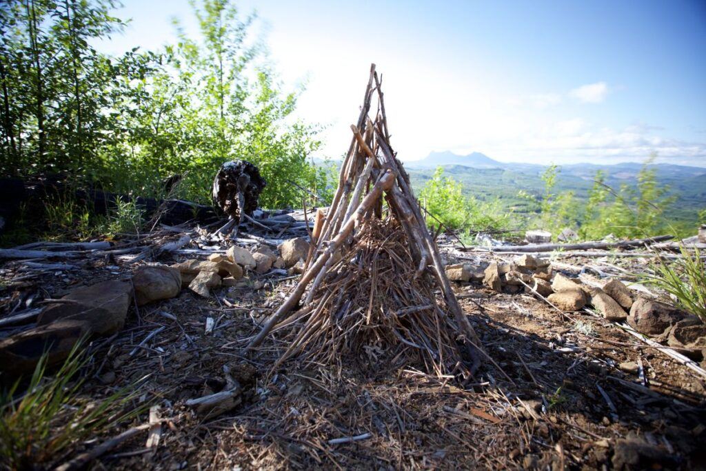 A Guide to Using AI for Survival PreparationsTeepee Campfire in the Pacific Northwest