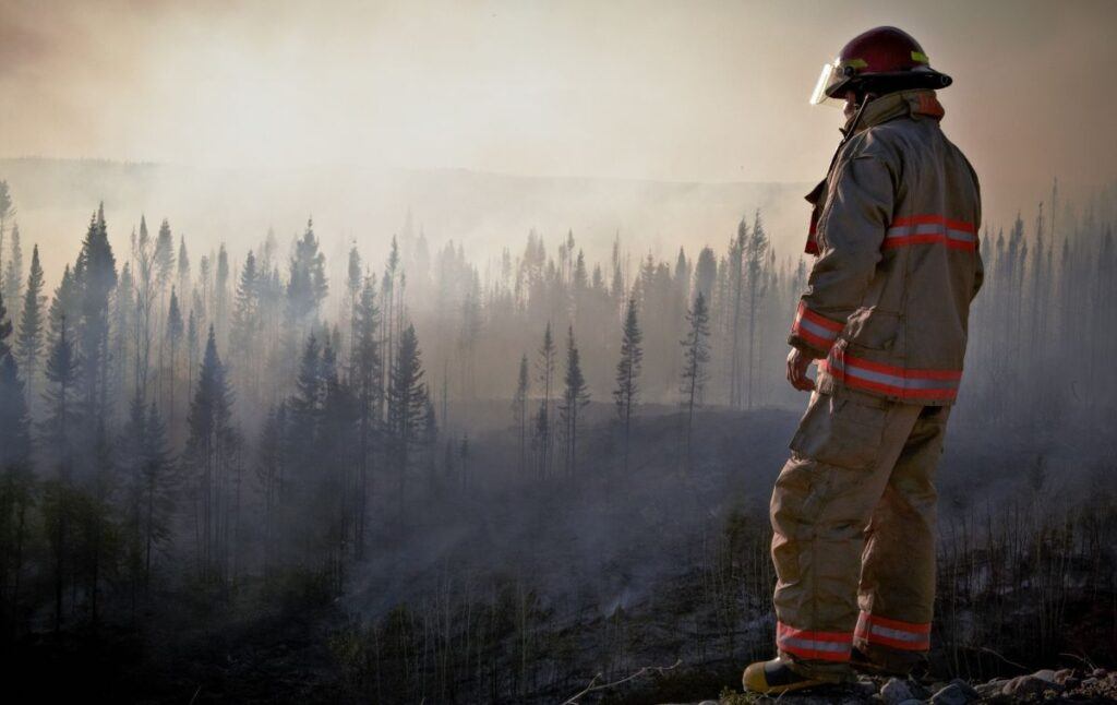 WILDFIRE | The Seasonal Survival Challenge: Month 10