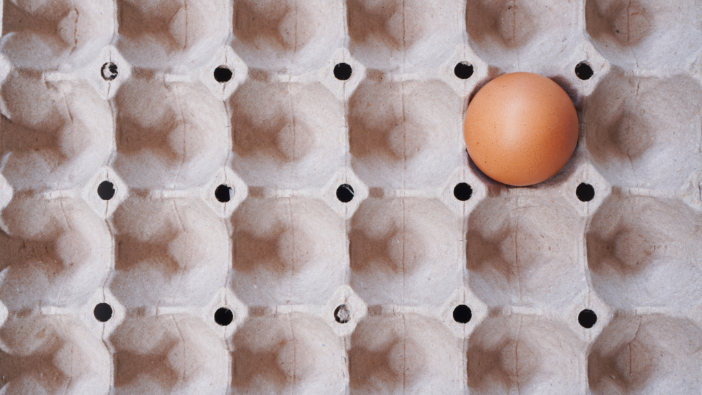 Food Shortage Survival Planning for Seniors: Preparing for Empty Store Shelves