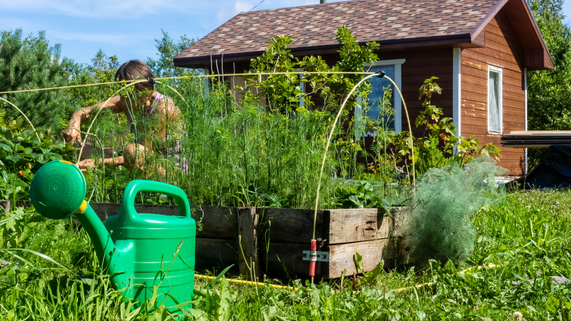 Survival Gardening Basics for Growing Your Own Food