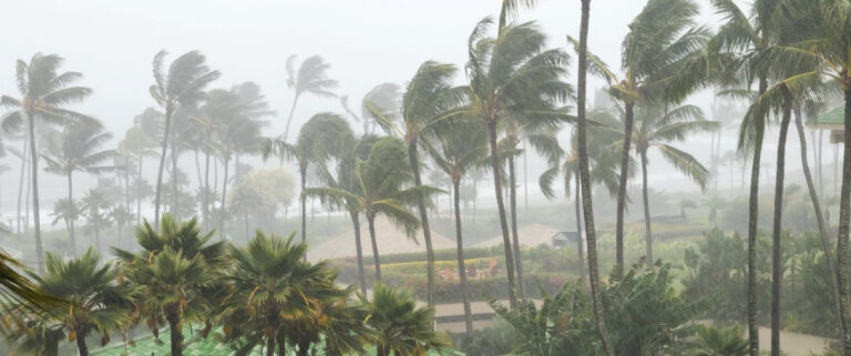 Month 10: The Seasonal Survival Challenge HURRICANES