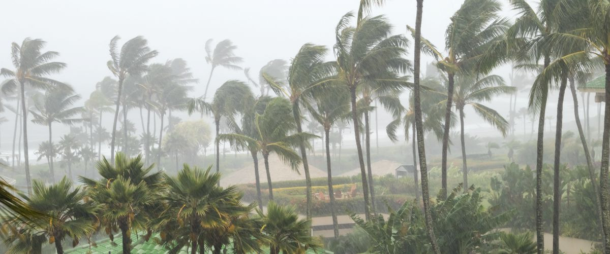 Month 10: The Seasonal Survival Challenge HURRICANES