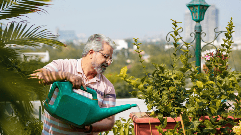 Container Gardening Made Easy for Seniors: Grow More with Less Work
