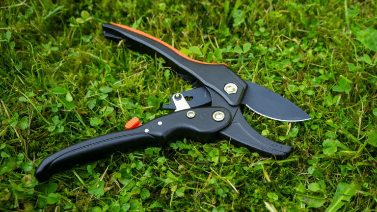 Best Ergonomic Gardening Tools for Seniors: Garden with Less Strain