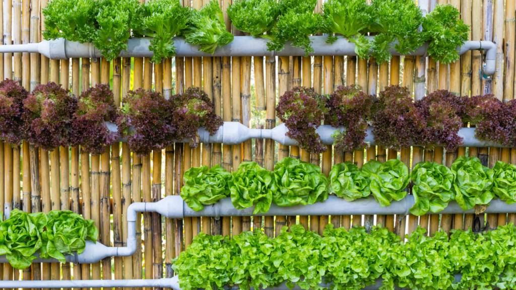 Vertical Gardening for Seniors: Grow More in Small Spaces